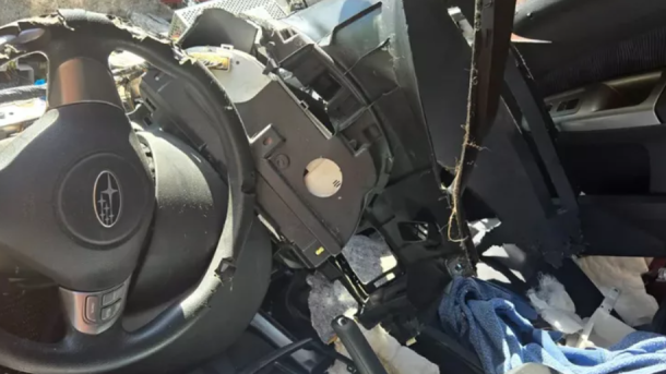 Bear Breaks Into Car California