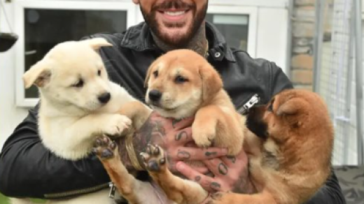 Pete Wicks