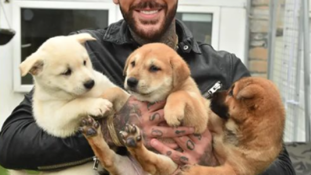 Pete Wicks